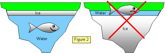 Schoolphysics Welcome 